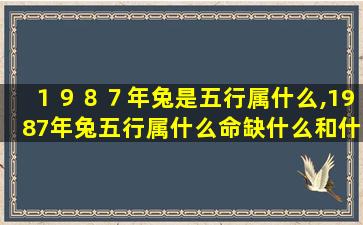 １９８７年兔是五行属什么,1987年兔五行属什么命缺什么和什么相 🐧 克